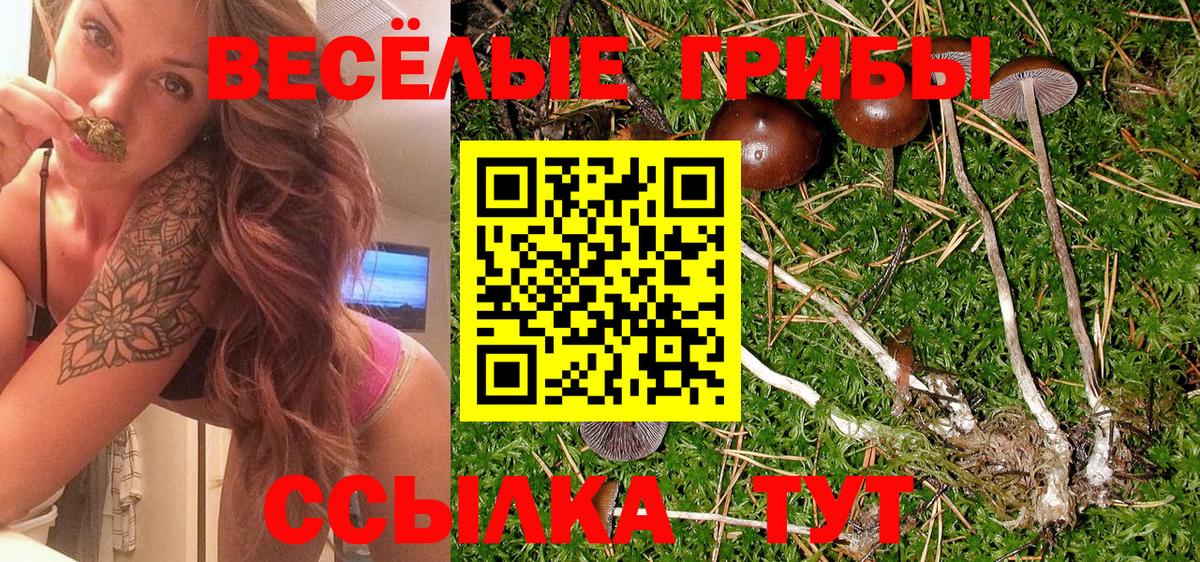 Псилоцибиновые грибы мицелий Лыткарино
