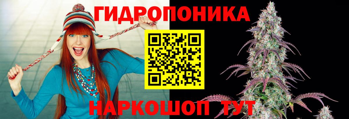 Марихуана OG Kush  Бошки Шишки AK-47  Конопля индика  Лыткарино  Вход с VPN 